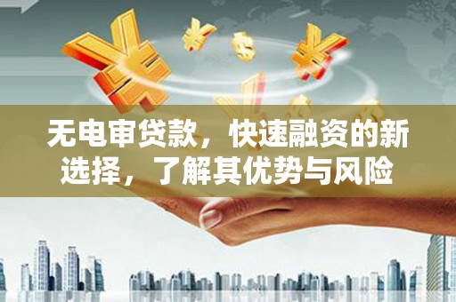 狮子无电审贷款，快速融资的新选择，了解其优势与风险