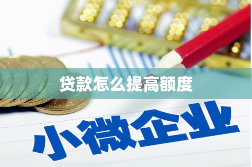 狮子贷款怎么提高额度