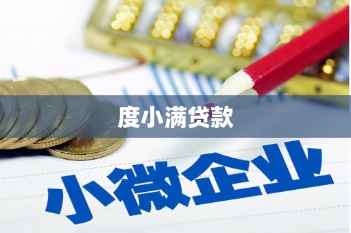 狮子度小满贷款