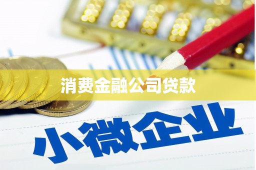 狮子消费金融公司贷款