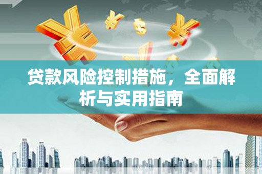 狮子贷款风险控制措施，全面解析与实用指南