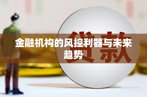 狮子金融机构的风控利器与未来趋势
