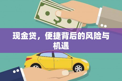 狮子现金贷，便捷背后的风险与机遇