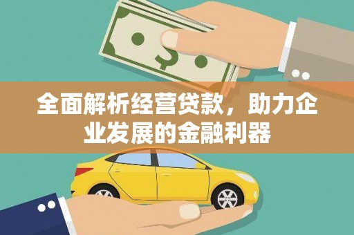 狮子全面解析经营贷款，助力企业发展的金融利器