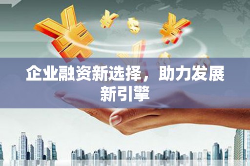 狮子企业融资新选择，助力发展新引擎
