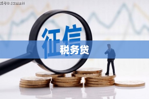 狮子税务贷