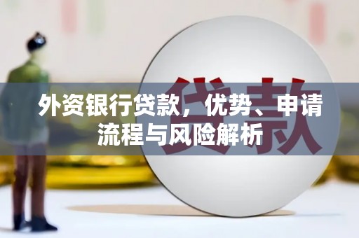 狮子外资银行贷款，优势、申请流程与风险解析