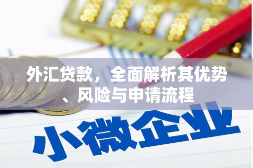 狮子外汇贷款，全面解析其优势、风险与申请流程
