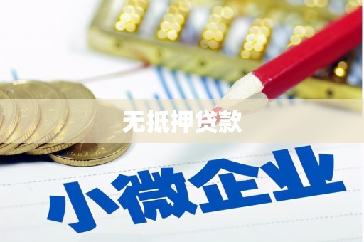 狮子无抵押贷款