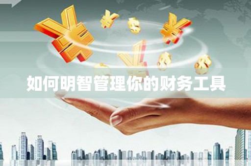 狮子如何明智管理你的财务工具