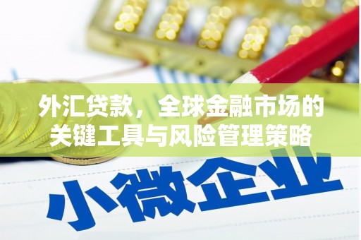 狮子外汇贷款，全球金融市场的关键工具与风险管理策略