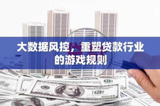 狮子大数据风控，重塑贷款行业的游戏规则