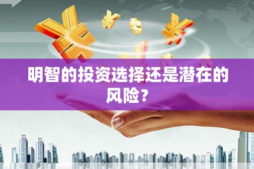 狮子明智的投资选择还是潜在的风险？