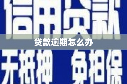 狮子贷款逾期怎么办