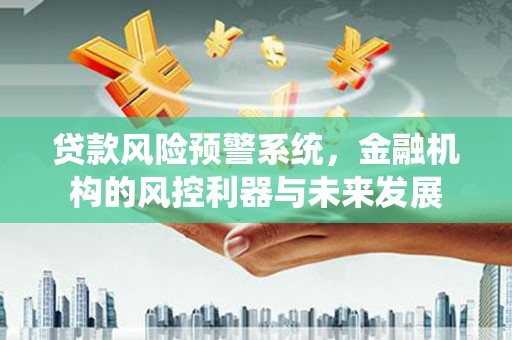 狮子贷款风险预警系统，金融机构的风控利器与未来发展