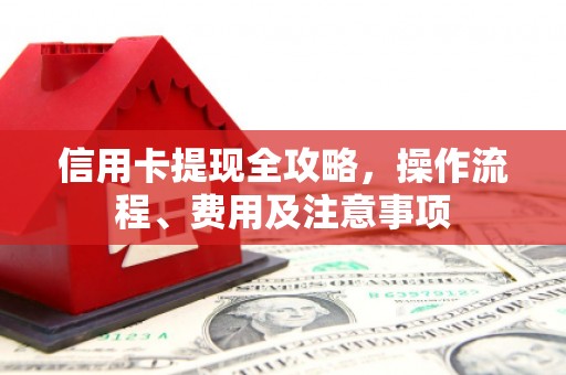 狮子信用卡提现全攻略，操作流程、费用及注意事项