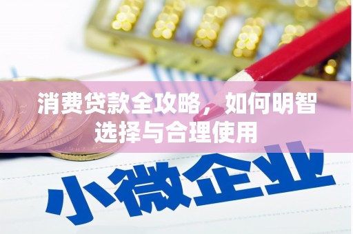 狮子消费贷款全攻略，如何明智选择与合理使用