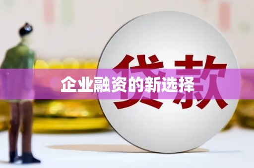 狮子企业融资的新选择