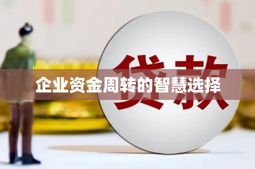 狮子企业资金周转的智慧选择