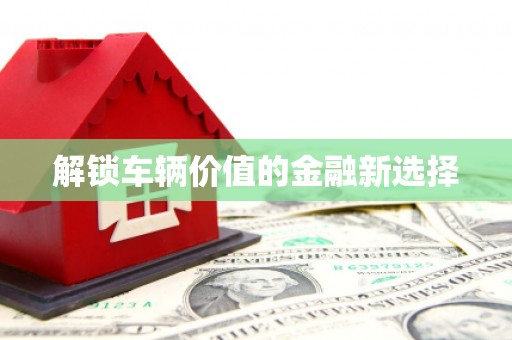 狮子解锁车辆价值的金融新选择