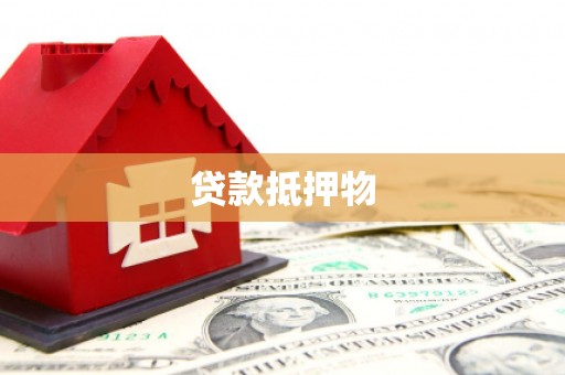 狮子贷款抵押物