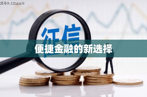 狮子便捷金融的新选择