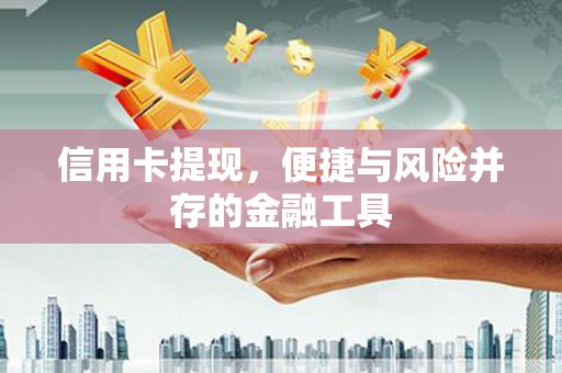 狮子信用卡提现，便捷与风险并存的金融工具