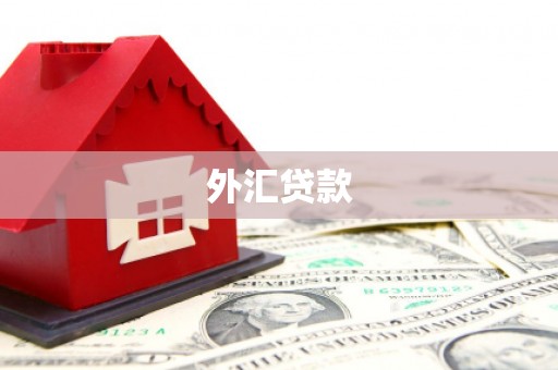 狮子外汇贷款