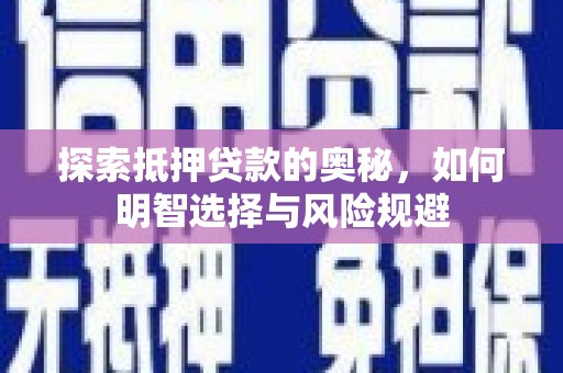 狮子探索抵押贷款的奥秘，如何明智选择与风险规避