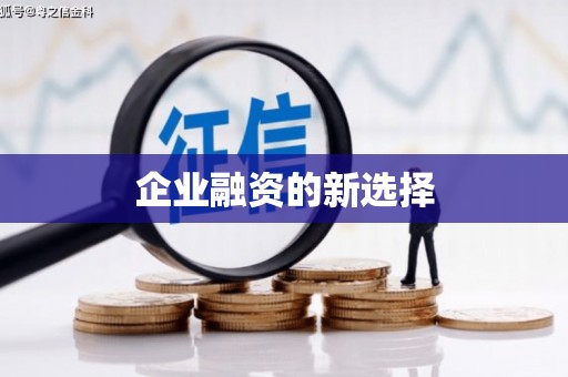 狮子企业融资的新选择