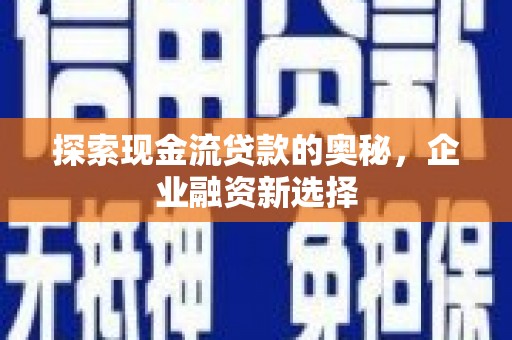 狮子探索现金流贷款的奥秘，企业融资新选择