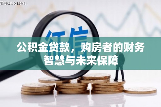 狮子公积金贷款，购房者的财务智慧与未来保障