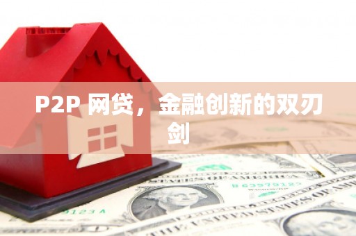 狮子P2P 网贷，金融创新的双刃剑