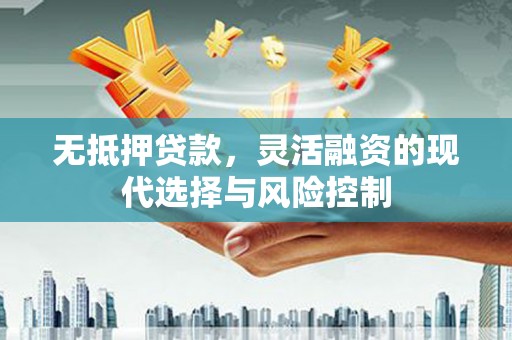 狮子无抵押贷款，灵活融资的现代选择与风险控制