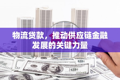 狮子物流贷款，推动供应链金融发展的关键力量