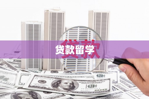 狮子贷款留学