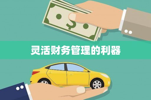 狮子灵活财务管理的利器