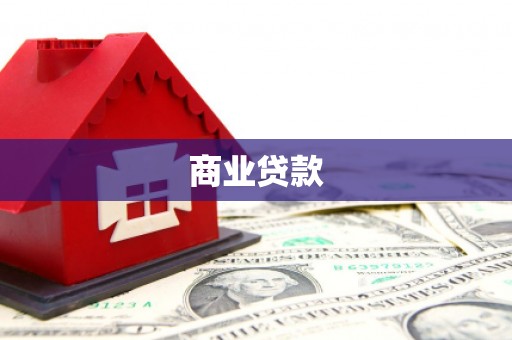 狮子商业贷款