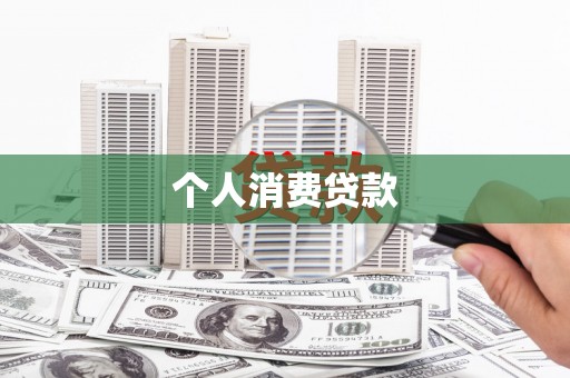 狮子个人消费贷款