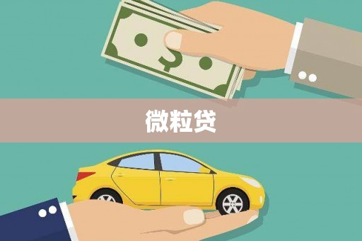 狮子微粒贷