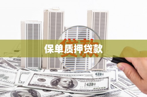 狮子保单质押贷款