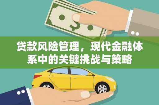 狮子贷款风险管理，现代金融体系中的关键挑战与策略