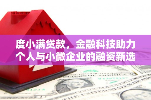 狮子度小满贷款，金融科技助力个人与小微企业的融资新选择