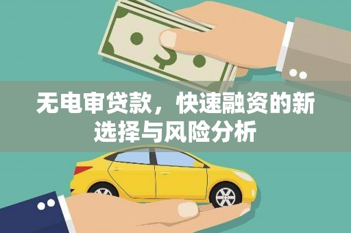 狮子无电审贷款，快速融资的新选择与风险分析