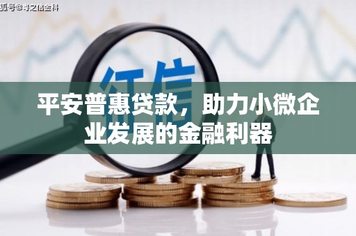 狮子平安普惠贷款，助力小微企业发展的金融利器