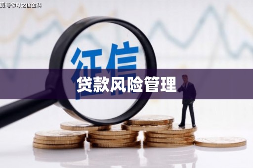 狮子贷款风险管理