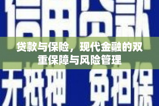 狮子贷款与保险，现代金融的双重保障与风险管理