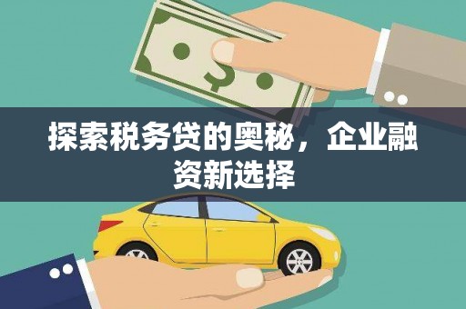 狮子探索税务贷的奥秘，企业融资新选择