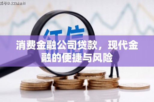 狮子消费金融公司贷款，现代金融的便捷与风险