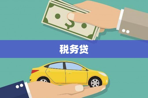 狮子税务贷